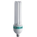 6u 17mm 125W CFL Bulb (BNF17-6U-A)